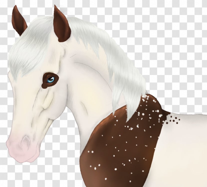 Mustang Halter Pony Freikörperkultur Snout - Mane Transparent PNG