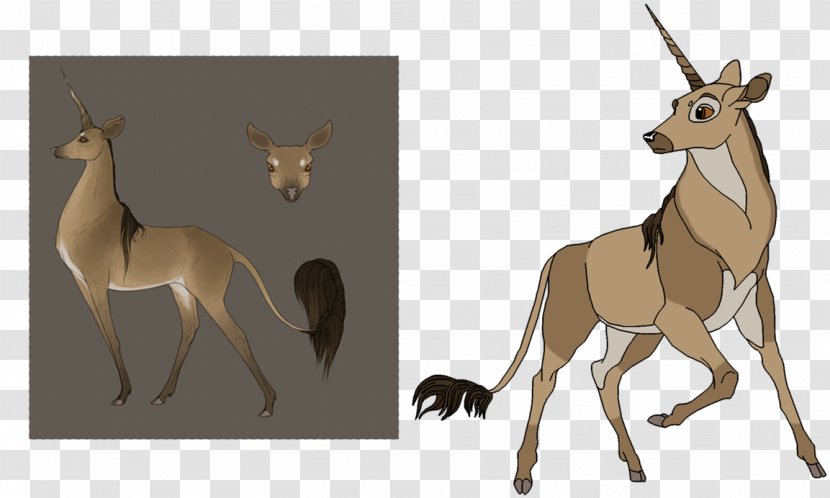 Impala Bambi Horse Deer Pack Animal - Horn Transparent PNG
