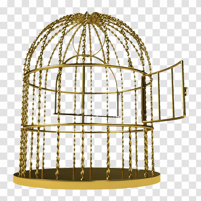 Birdcage - Structure - Golden Pattern Iron Cage Transparent PNG