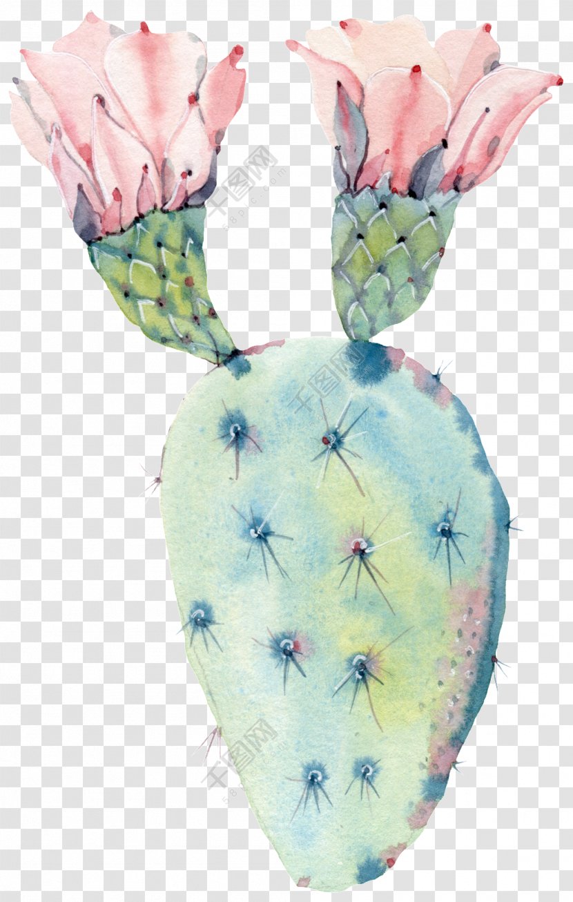 Cactus Watercolor Painting Canvas Print Art - Blooming Design Element Transparent PNG