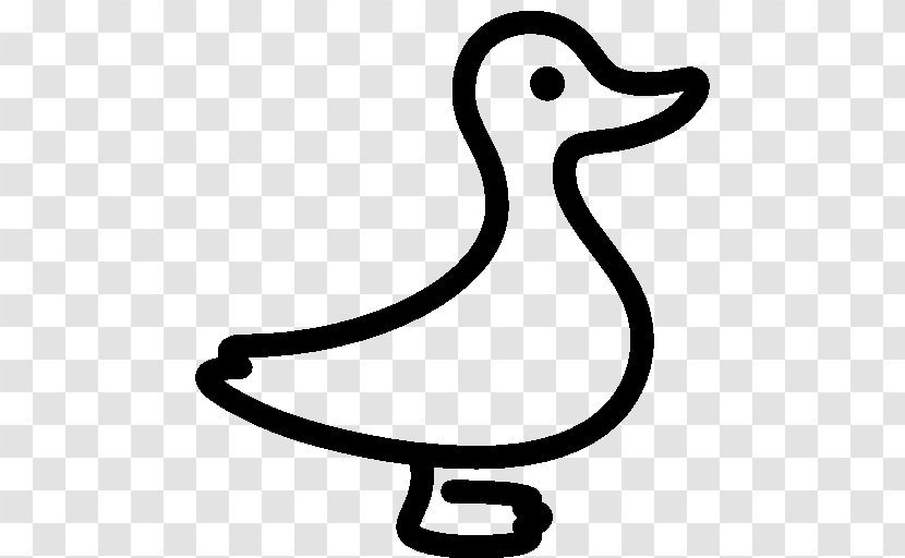 Domestic Duck Download Transparent PNG