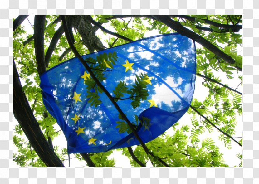 European Union France Development And Dystopia: Studies In Post-Soviet Ukraine Eastern Europe United Kingdom Politics - Leaf Transparent PNG