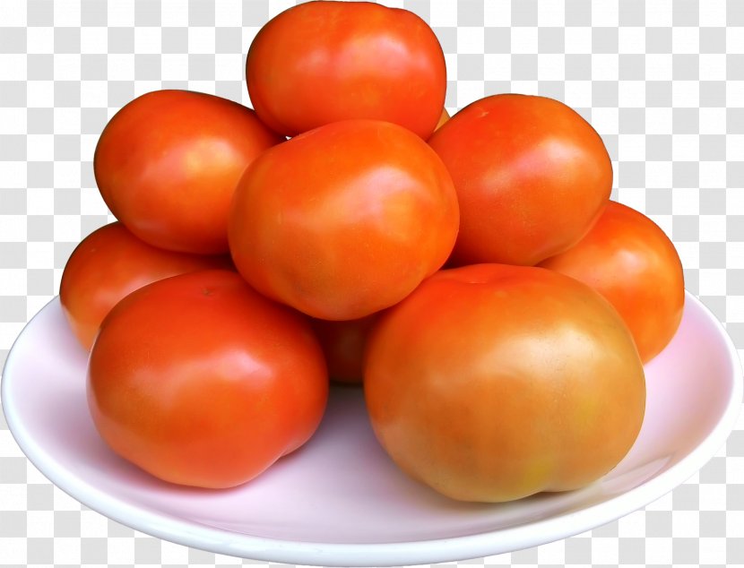 Bracelet Food Tomato Soup Jewellery Recipe - Vegetable Transparent PNG