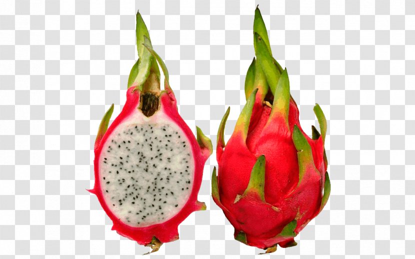 Juice Pitaya Fruit Exotique Hylocereus Undatus - Plant - Dragon Transparent PNG