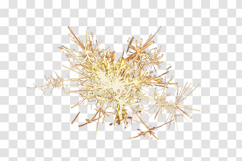 Grasses Twig Family - Fairy Lights Transparent PNG