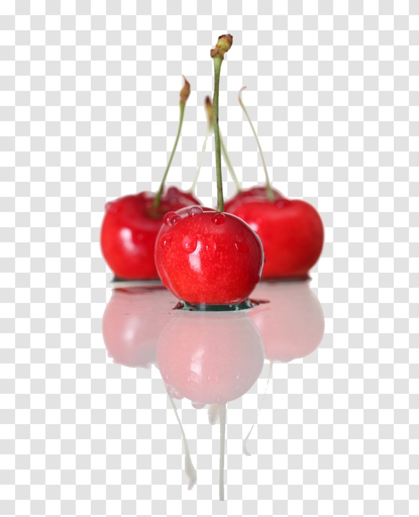 Yantai Cherry Price Wholesale Catty Transparent PNG