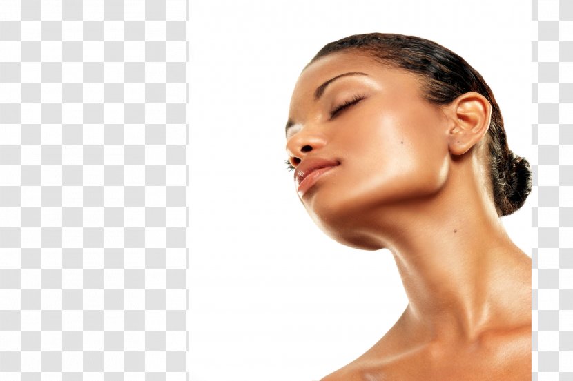 Skin Care Human Complexion Facial - Elastin - Photographers Transparent PNG