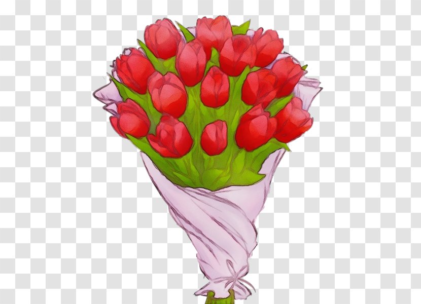 Watercolor Flower Background - Garden Roses - Anthurium Plant Stem Transparent PNG