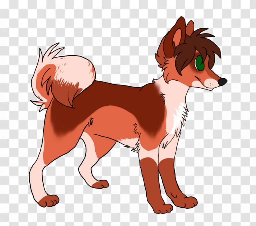 Dog Breed Puppy Red Fox Snout Transparent PNG