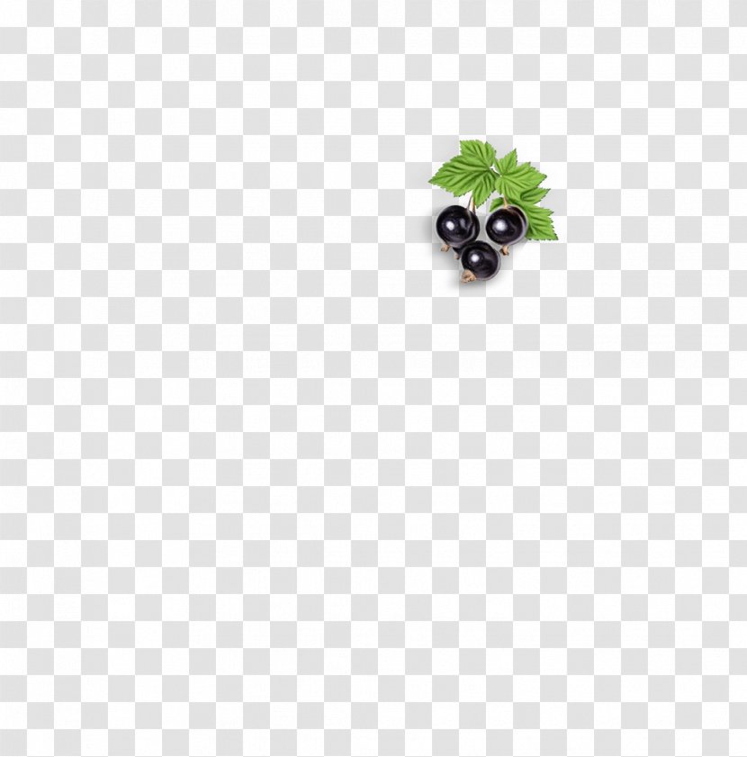 Fruit Cartoon - Body Jewellery - Berry Plant Transparent PNG