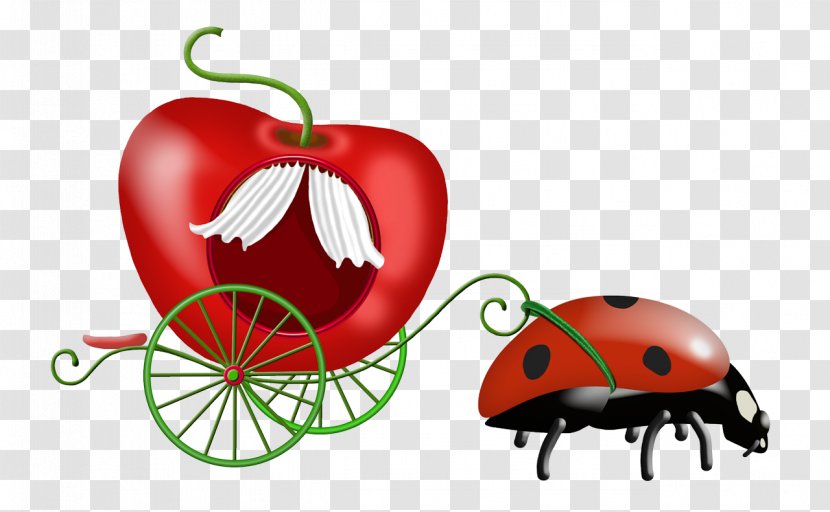 Ladybird Clip Art - Love - Ladybug Transparent PNG