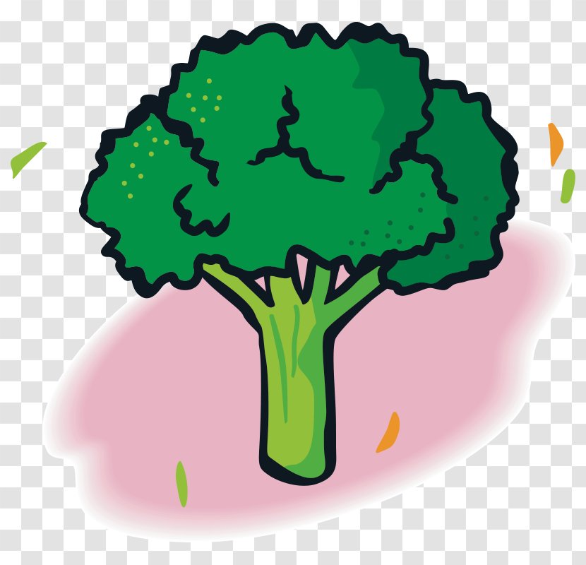 Vegetable Fruit Broccoli Food - Meal - Vegetables,Fruits And Vegetables,Green,fruit,vegetables Transparent PNG