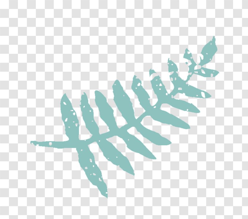 Leaf Turquoise Feather Font - Wing Transparent PNG