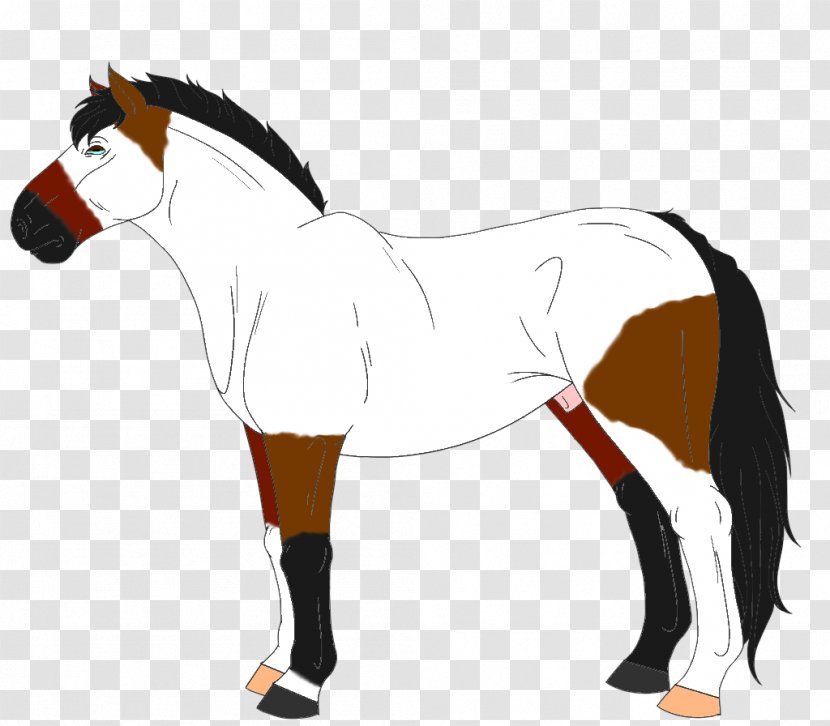 Mane Stallion Foal Mustang Mare Transparent PNG