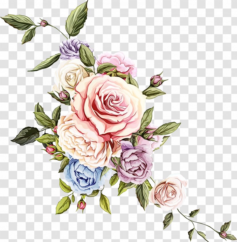 Bouquet Of Flowers Drawing - Flower - Prickly Rose Floribunda Transparent PNG