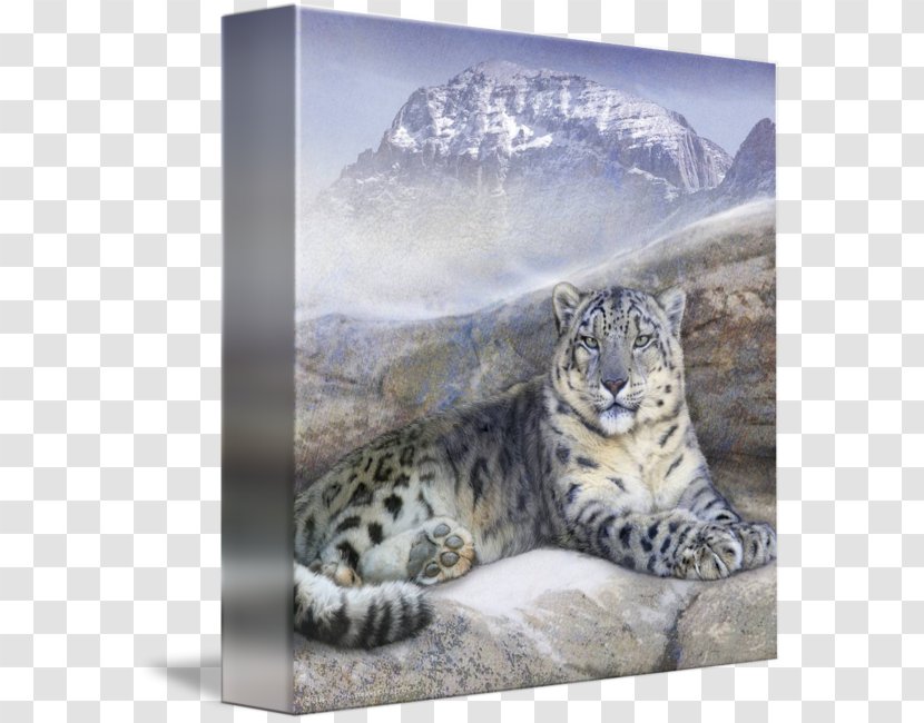 Snow Leopard Whiskers Gallery Wrap Canvas Transparent PNG