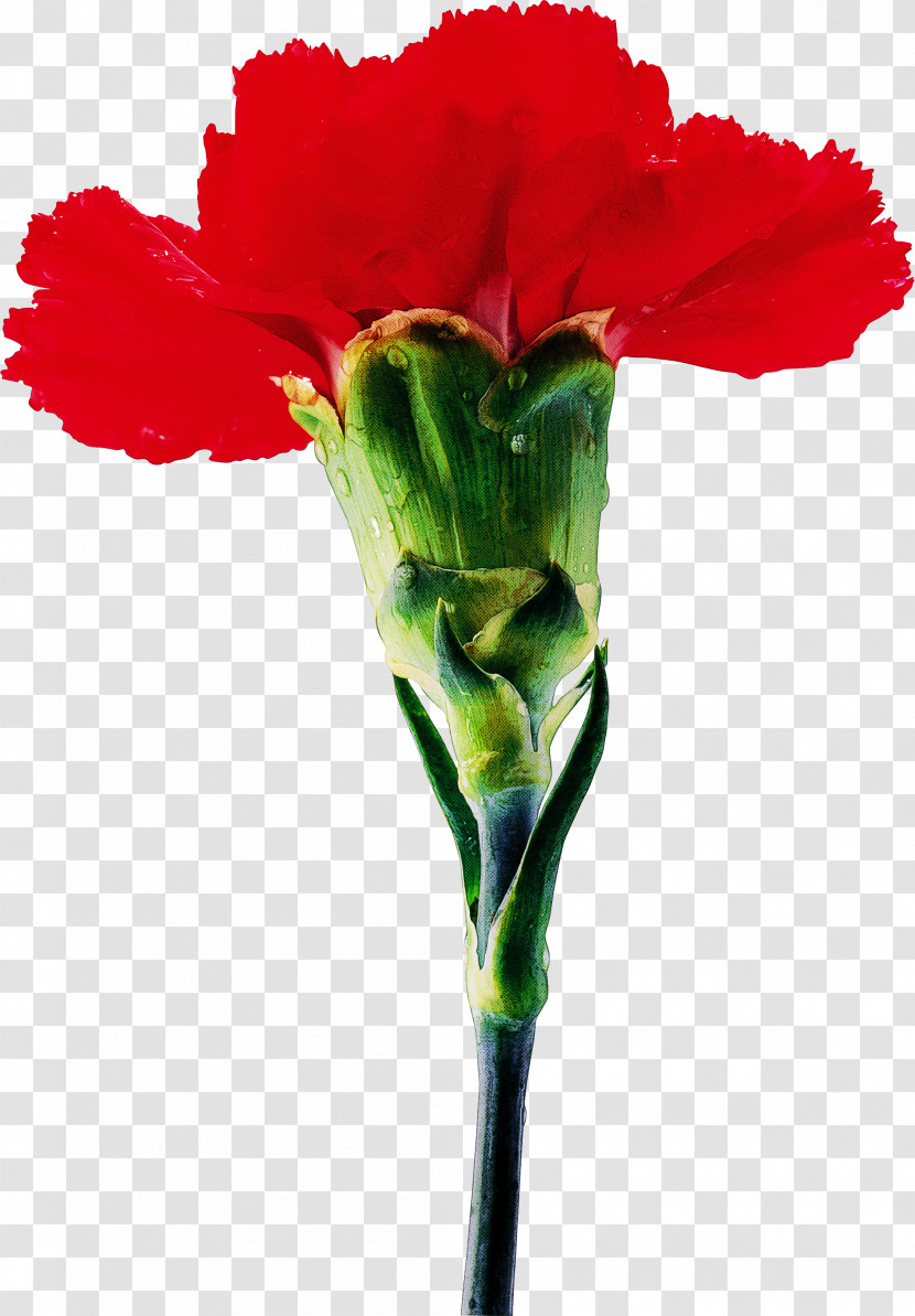 Artificial Flower Transparent PNG