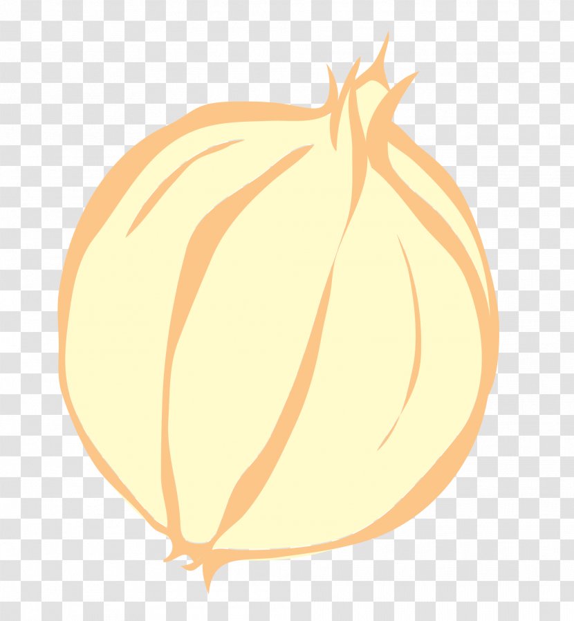 Pumpkin Calabaza Winter Squash Illustration - Flowering Plant Transparent PNG