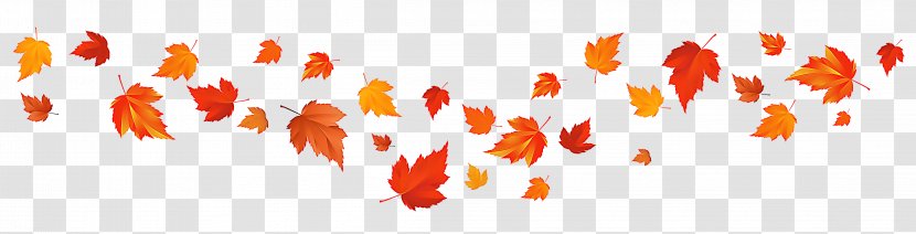 Maple Leaf - Plant Transparent PNG