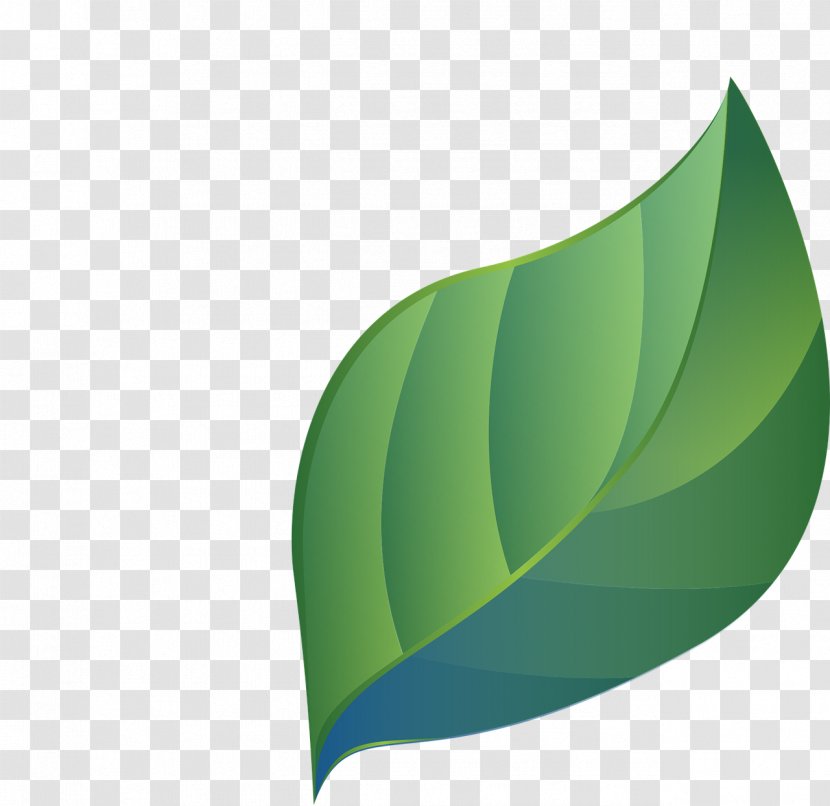 Leaf Green Stencil - Plant Transparent PNG