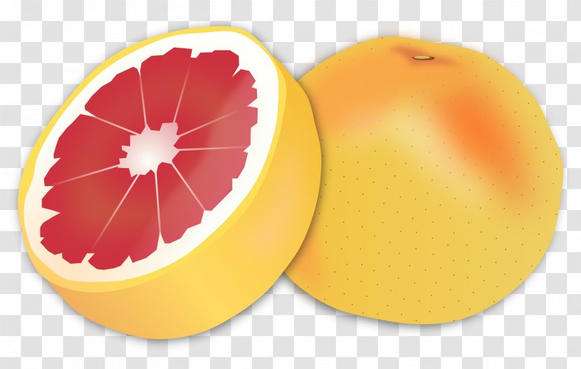Grapefruit Orange Clip Art - Citric Acid Transparent PNG