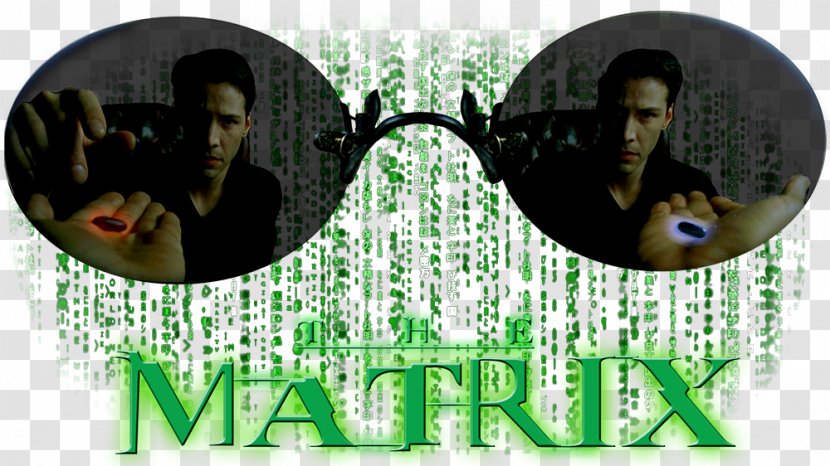The Matrix Film Dystopia Philosophy Glasses - Eyewear - Filosofia Transparent PNG