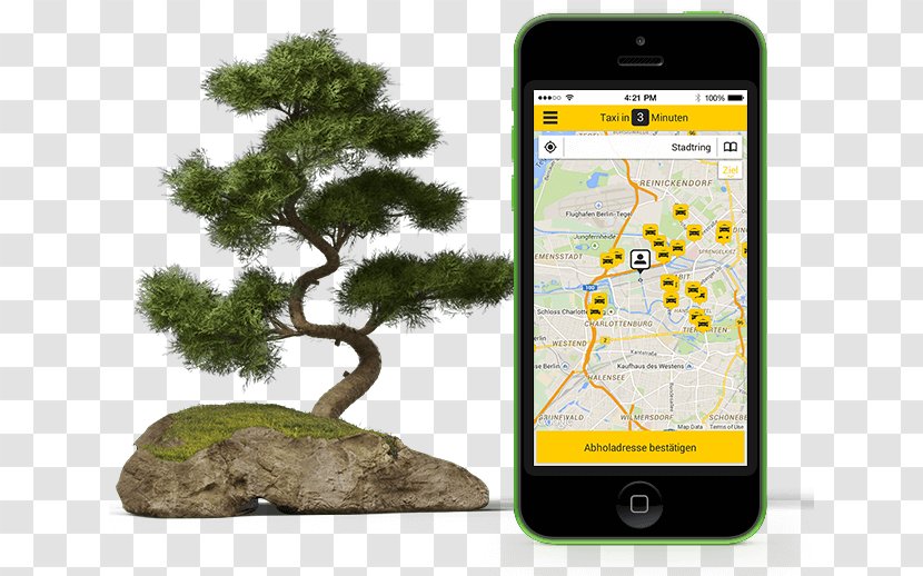 Logo Tree - Taxi App Transparent PNG