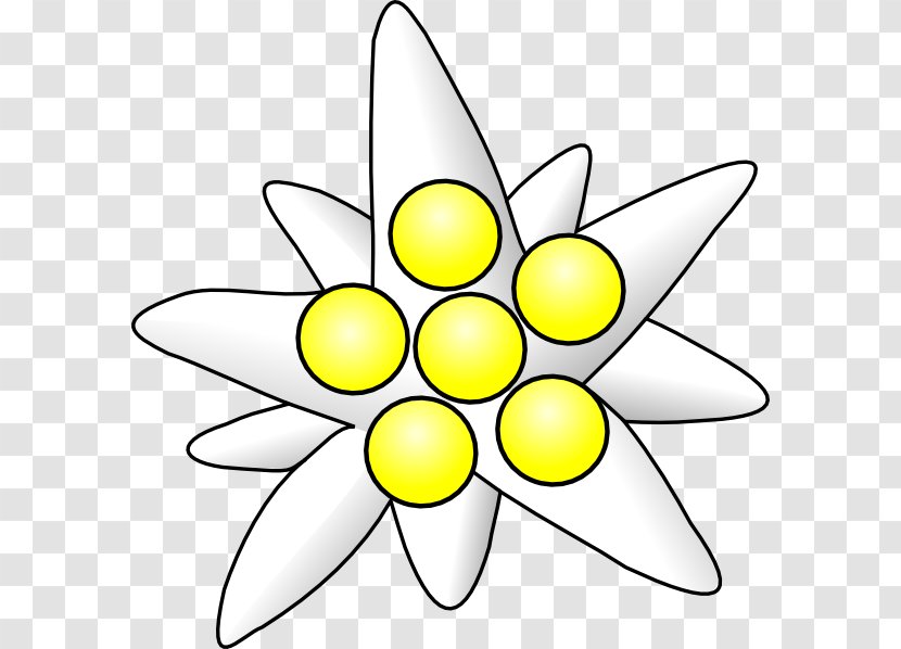 Clip Art - Graphic Arts - Edelweiss Clipart Transparent PNG