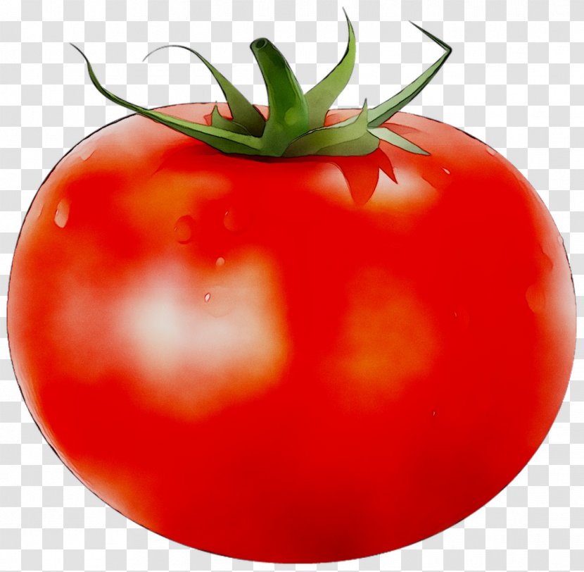 Plum Tomato Bush Food Vegetable Transparent PNG