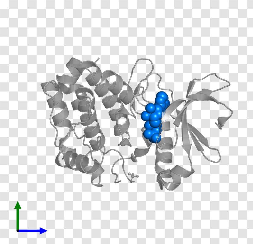 Georgetown University Lombardi Comprehensive Cancer Center Metabolomics Proteomics - Text - Adenosine Diphosphate Receptor Inhibitor Transparent PNG