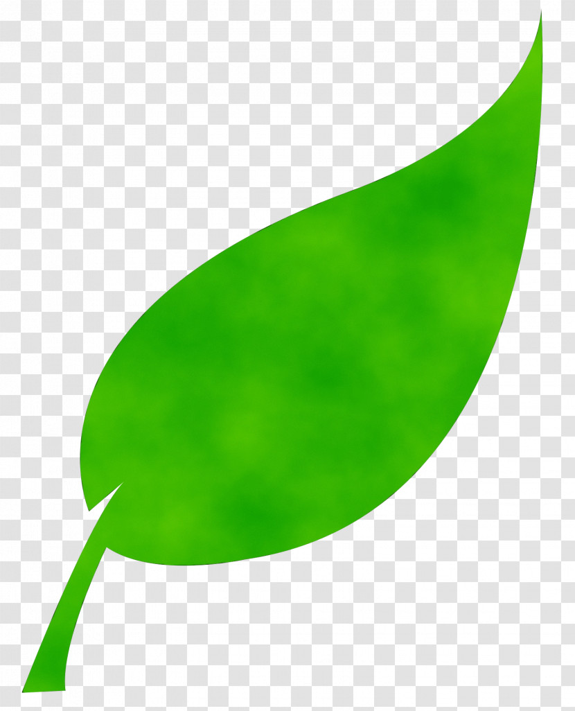Leaf Energy Conservation Summer Creative Crawl Process Transparent PNG