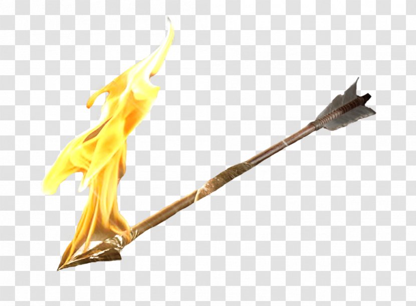 Fire Arrow Flame - Flower - Frie Transparent PNG