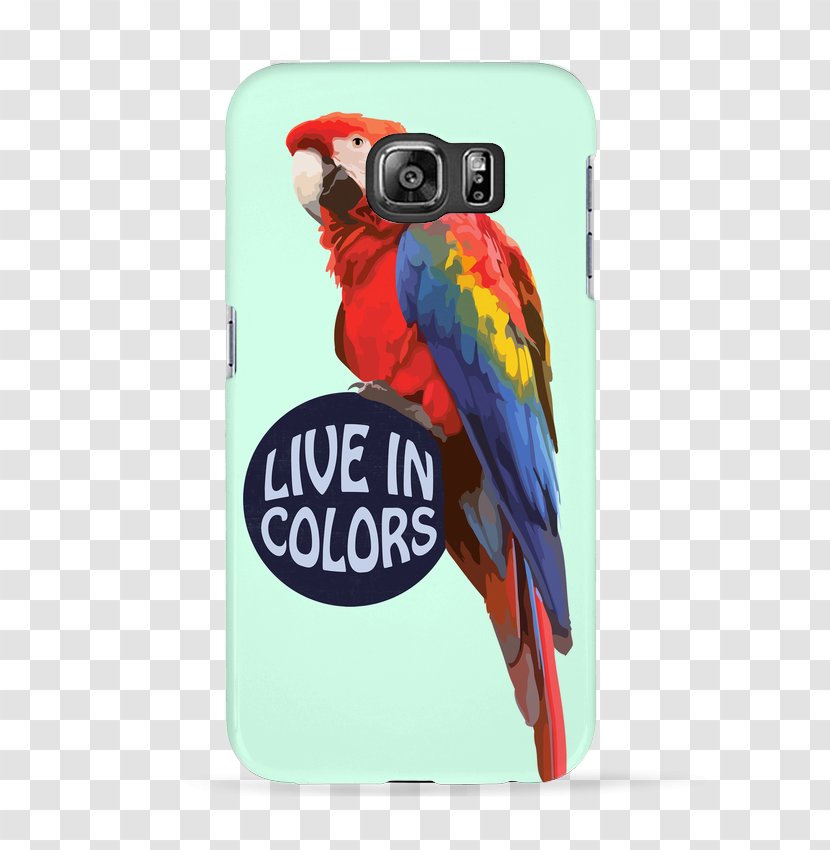 T-shirt IPhone 6S Macaw Bird Parrot - Mobile Phone Case Transparent PNG