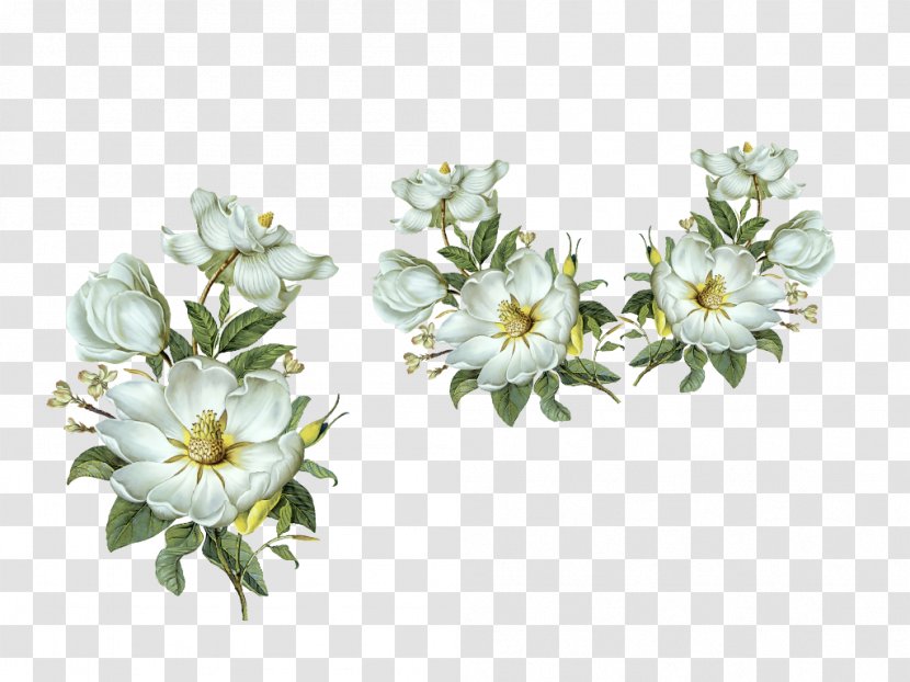 Sticker Design White Image Flower - Plant - Fiori Transparent PNG
