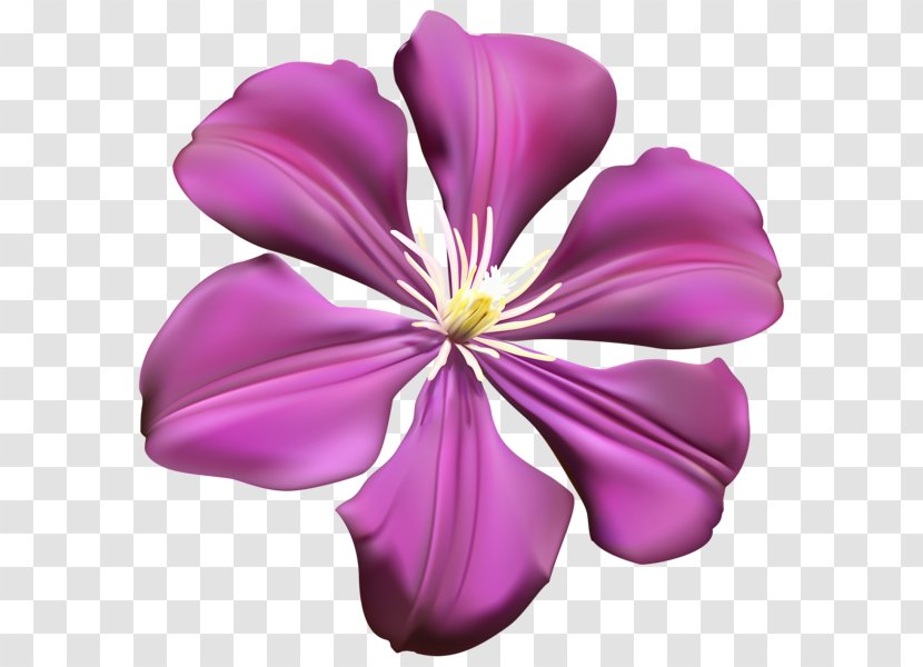 Flower Purple Violet Clip Art - Cut Flowers Transparent PNG
