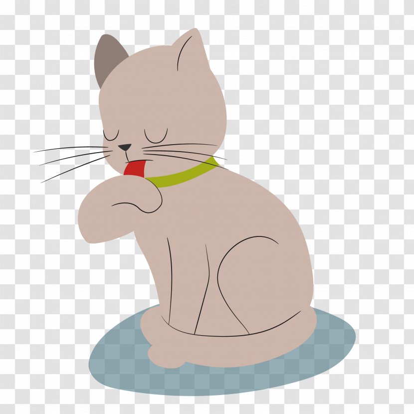 Whiskers Kitten Tabby Cat Domestic Short-haired - Vector Transparent PNG
