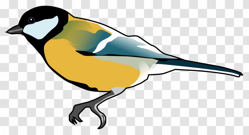 Bird Finch Penguin Clip Art - Blue Jay - Birds Transparent PNG