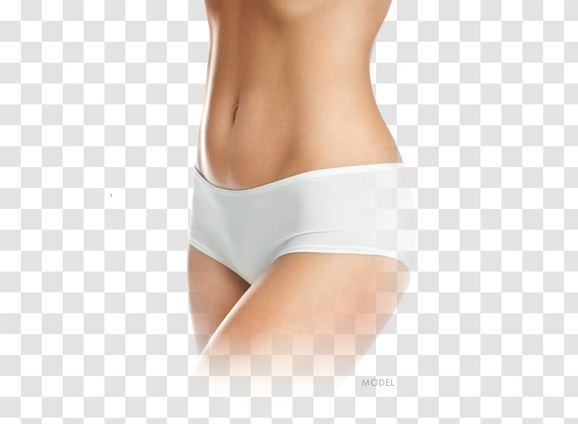 Abdominoplasty Plastic Surgery Abdomen Surgeon - Flower - Cunt Transparent PNG