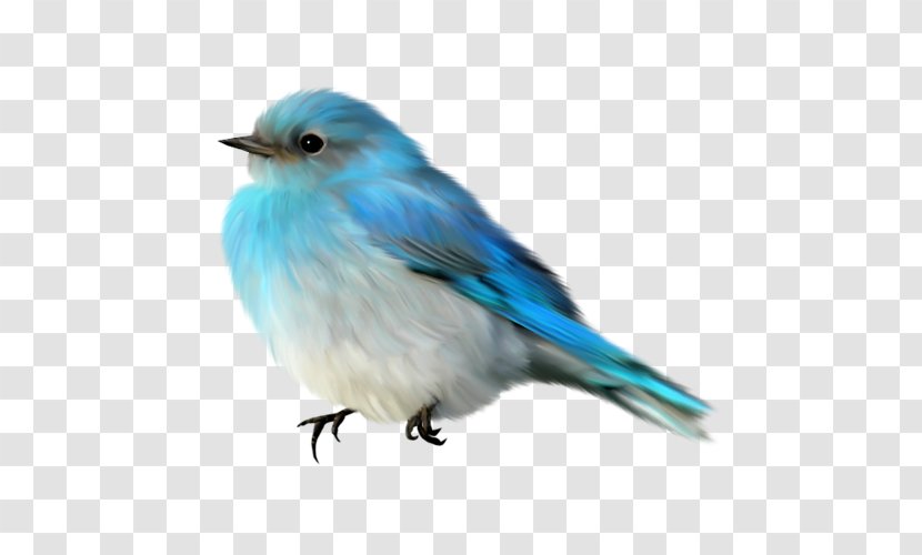 Bird Blue Bazaar - Cobalt Transparent PNG