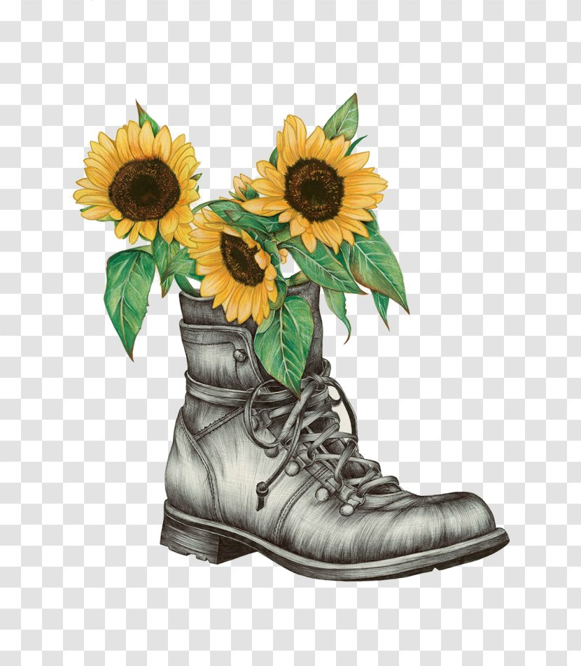 Common Sunflower Drawing Watercolor Painting Boot - Printmaking Transparent PNG
