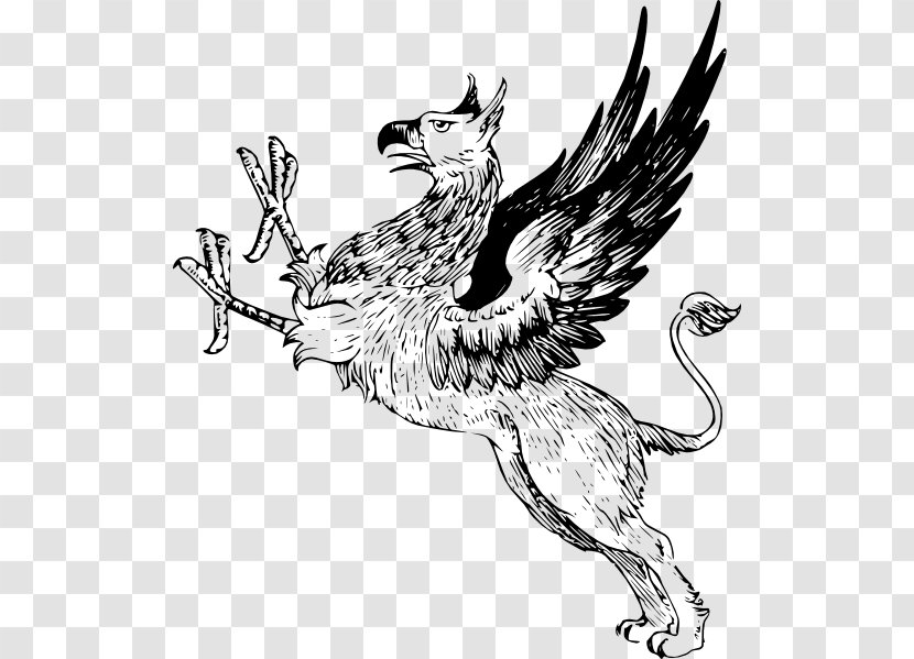 Griffin Clip Art - Mythical Creature Transparent PNG