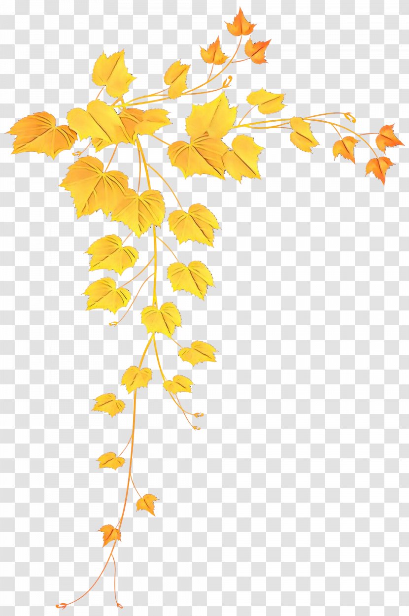 Leaf Tree Yellow Plant Woody - Stem - Flower Transparent PNG