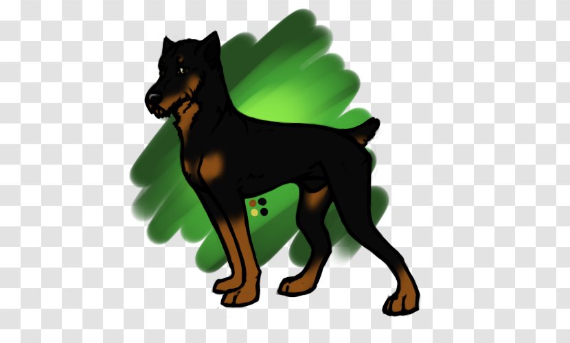 Ormskirk Terrier Australian Kelpie Puppy Pinscher Cattle Dog - Breed - Evolution Of Man Transparent PNG