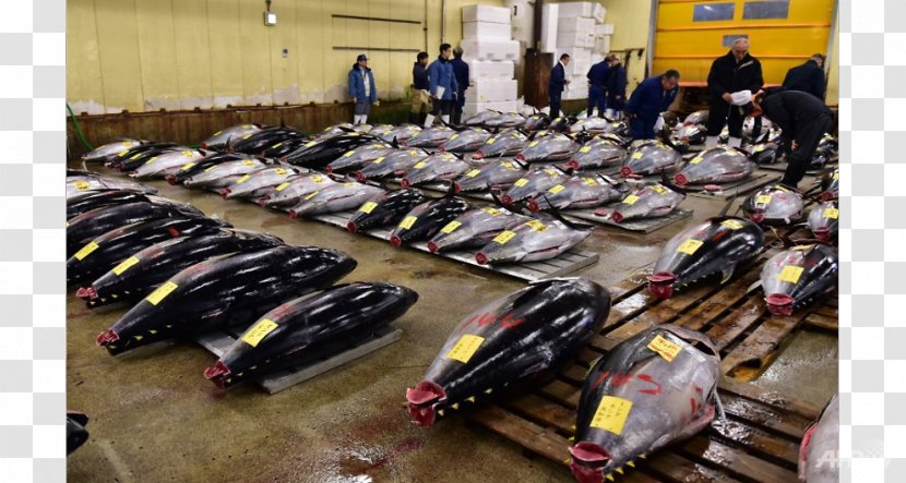 Tsukiji Fish Market 丰洲市场 Marketplace - October Transparent PNG