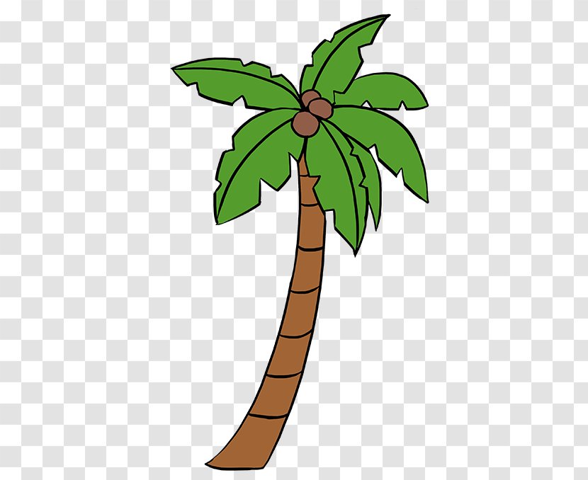 Drawing Palm Trees Image Illustration - Twig - Tree Transparent PNG