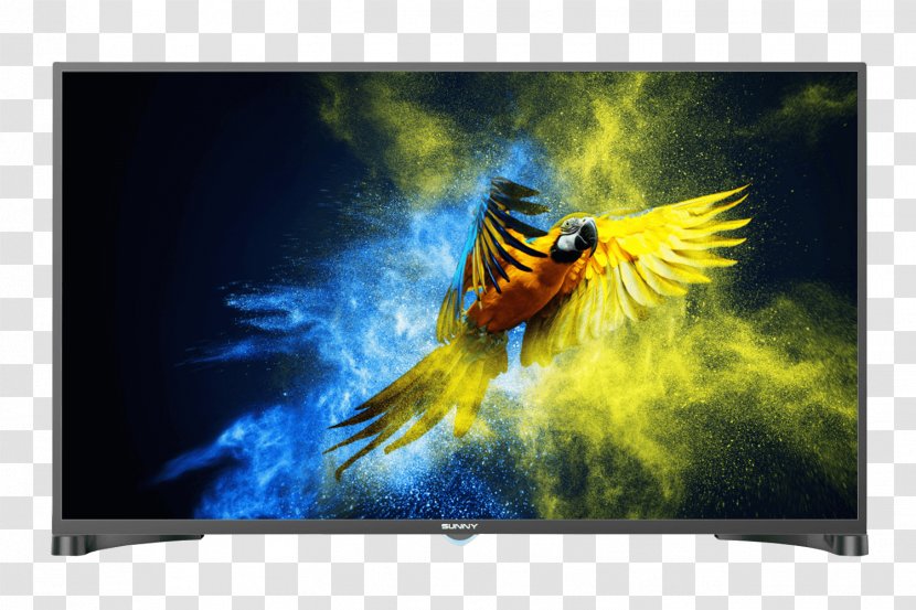 Companion Parrot Euroarts Color Macaw - Led Backlit Lcd Display Transparent PNG