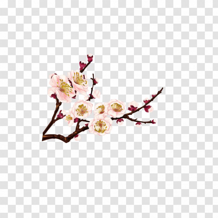 Cherry Blossom - Spring - Bud Transparent PNG