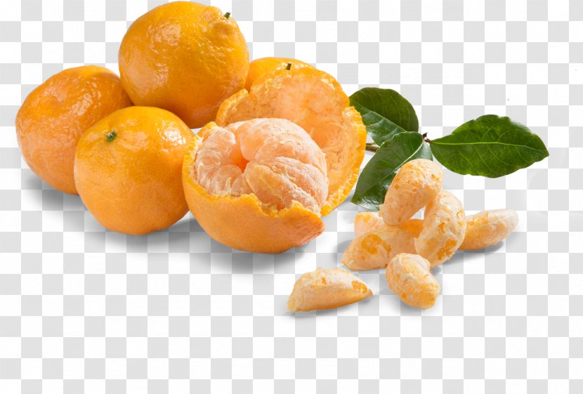 Clementine Tangerine Mandarin Orange تره بار اینترنتی سبزی من Food - Tangelo Transparent PNG