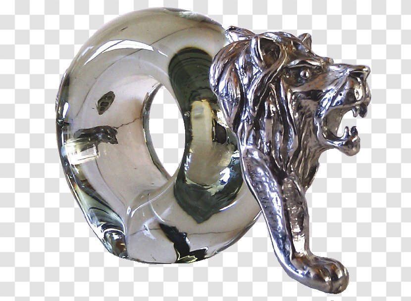 Lion Napkin Ring Leopard Common Warthog Cheetah - Metal Transparent PNG