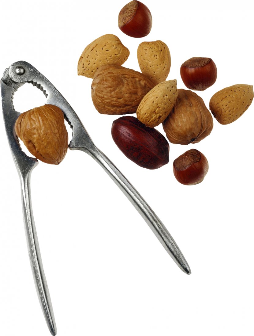 Walnut Dried Fruit Peanut Nuts Transparent PNG